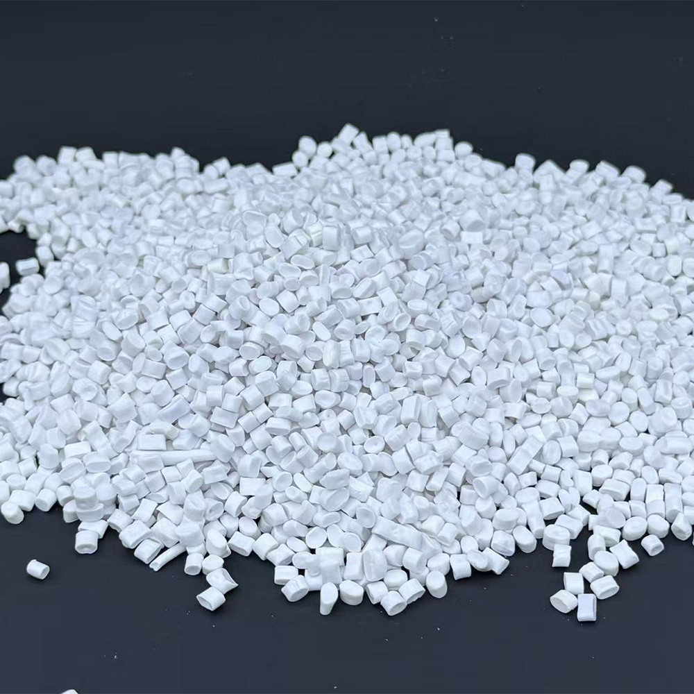ABS0013